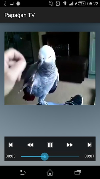 Parrot TV - Preview 4