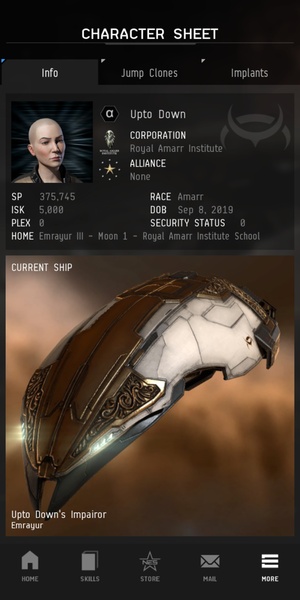 EVE Portal - Preview 2