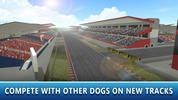 Dog Racing Tournament Sim 2 screenshot 3