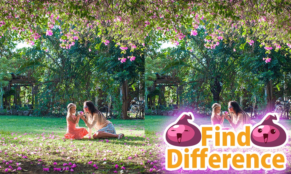 Find Difference 10 - Preview 1