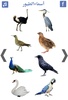 تعليم أسماء الطيور screenshot 1