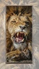 lion wallpaper screenshot 12