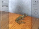 3D Frog Skeleton screenshot 6