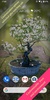 Bonsai 3D Live Wallpaper screenshot 6