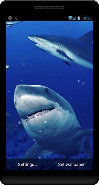 Shark Live Wallpaper - Preview 6