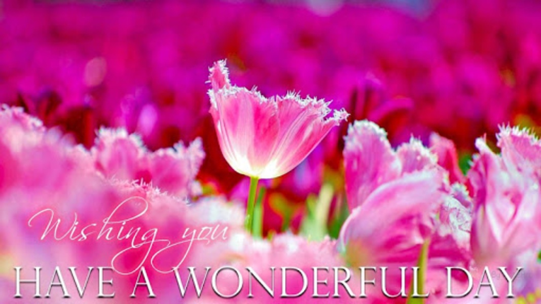 Good Morning Image - Preview 9