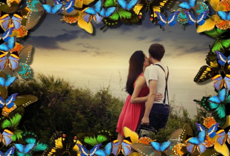 Butterfly Photo Frames - Preview 7