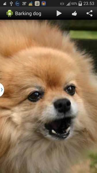 Barking dog - Preview 11