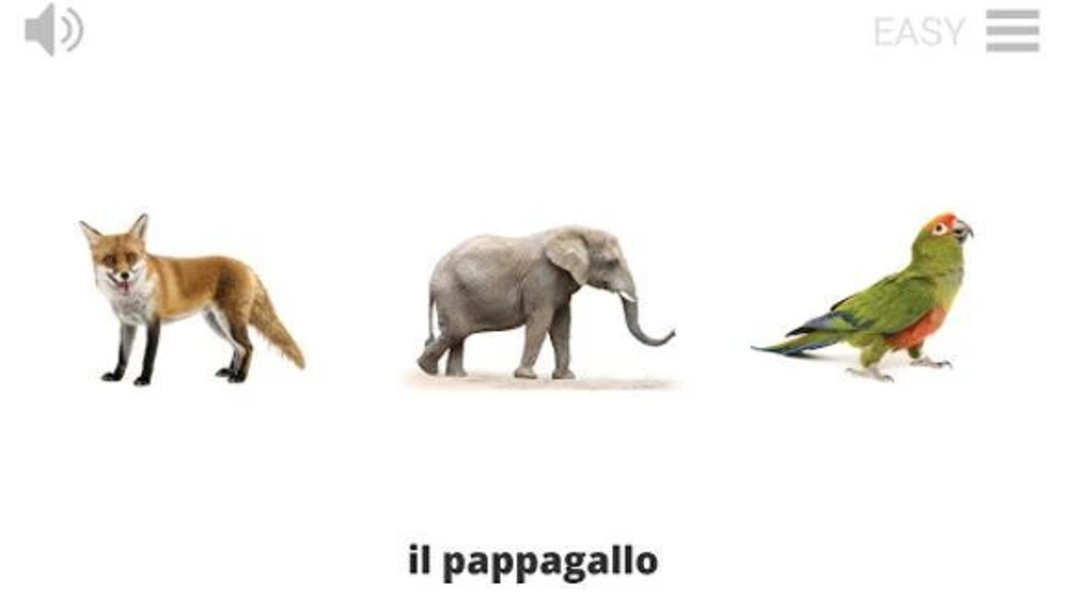 Play & Learn ITALIAN - Preview 8