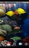 3D Aquarium Live Wallpaper Pro screenshot 8