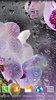 Orchids Live Wallpaper screenshot 6