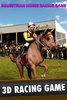 Equestrian Horse Racing Game screenshot 15