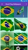 Brazil Flag Wallpaper: Flags and Country Images screenshot 4