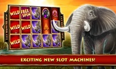 Super Slots Safari screenshot 13