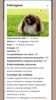 DoggoGuide screenshot 2