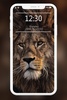 Lion Wallpapers HD screenshot 3