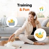 Human to Cat Translator screenshot 2