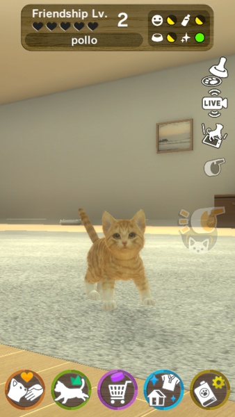 with My CAT - Preview 4