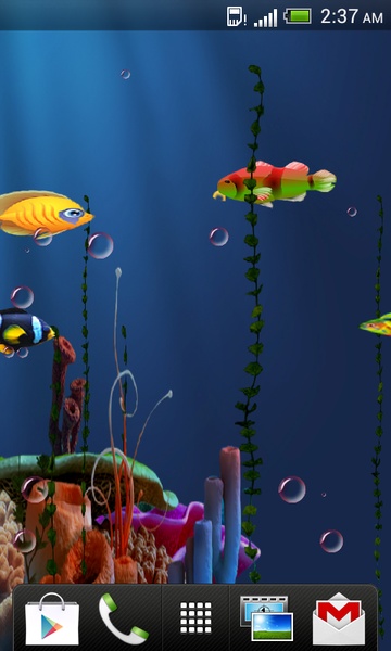 Live Fish Feed Wallpaper - Preview 2