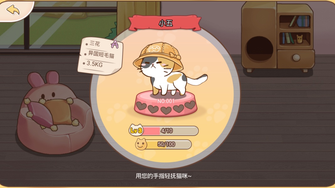 Cats and dogs play together - Preview 2
