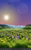 Spring Meadow Free screenshot 2