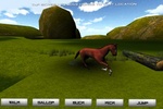 A Pet Horse screenshot 1