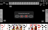 Pinochle - Expert AI screenshot 2