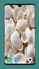 HD Seashell Wallpaper screenshot 2