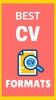 CV Formats screenshot 2