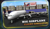 Big Airplane Flight Simulator screenshot 6