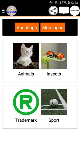 Correct word game - english written game - Preview 4