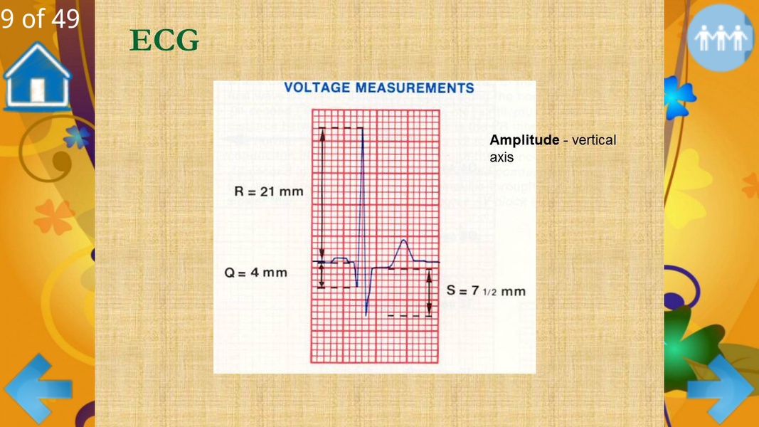 Basic ECG Interpretation - Preview 5