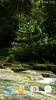 Forest Stream Live Wallpaper screenshot 6