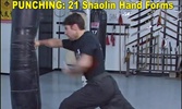 Shaolin Kung Fu screenshot 5