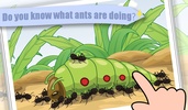 Ant - Insect World screenshot 4