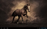 Horses live wallpaper screenshot 4