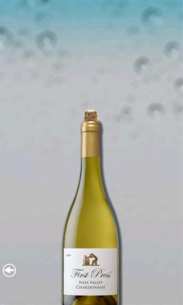 A Bottle of Champagne - Preview 4