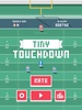 Tiny Touchdown screenshot 13