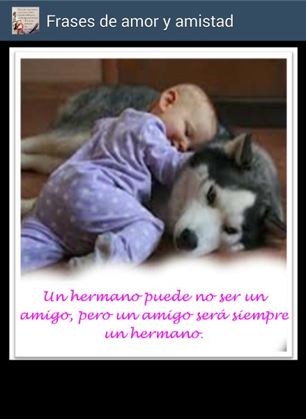 Frases de amor y amistad - Preview 3