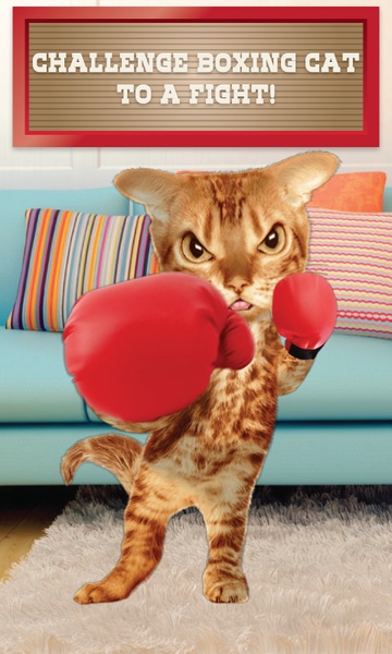 Boxing Cat - Preview 2