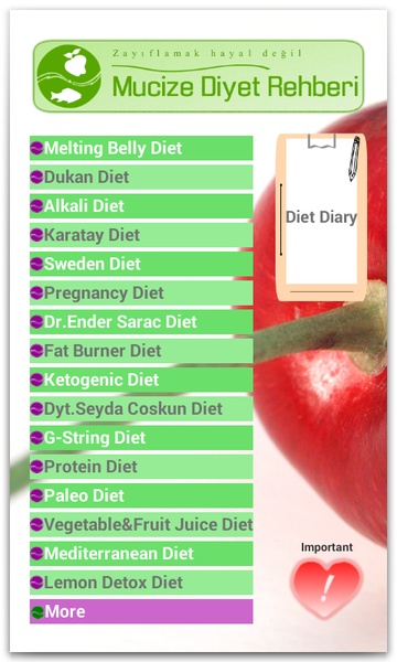 Miracle Diet Guide - Preview 6