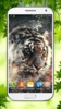 Tiger Live Wallpaper HD screenshot 7