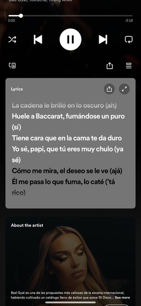 Spotify - Preview 21