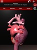 Circulatory System in 3D (Anatomy) screenshot 15