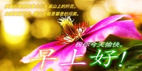 Good Morning Afternoon Night in Chinese screenshot 18