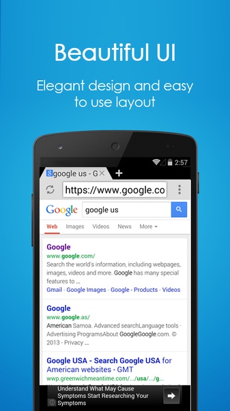 Internet Web Explorer - Preview 5