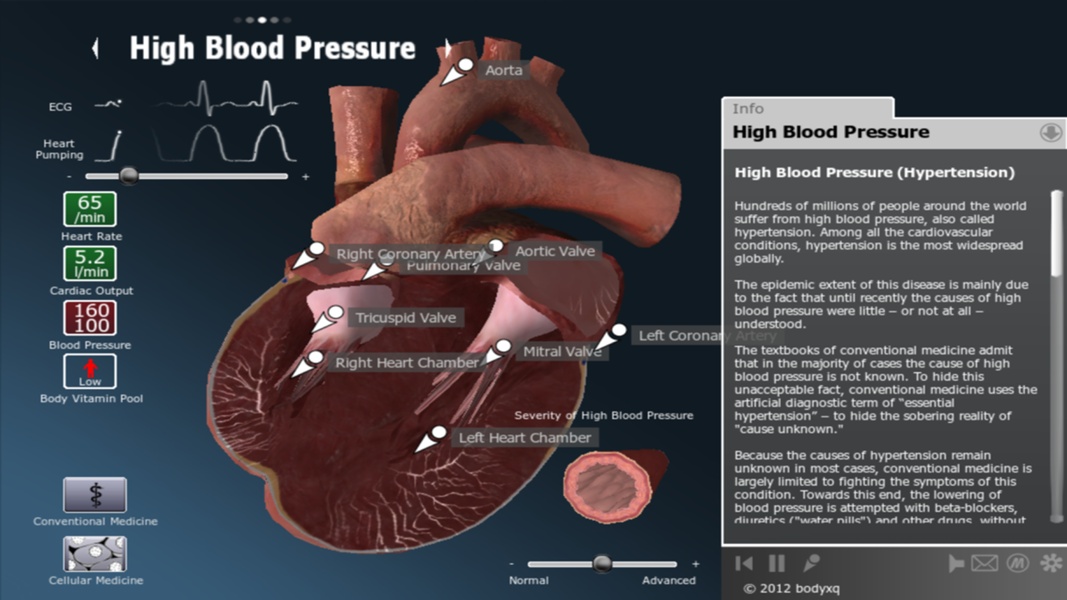 bodyxq heart - Preview 10