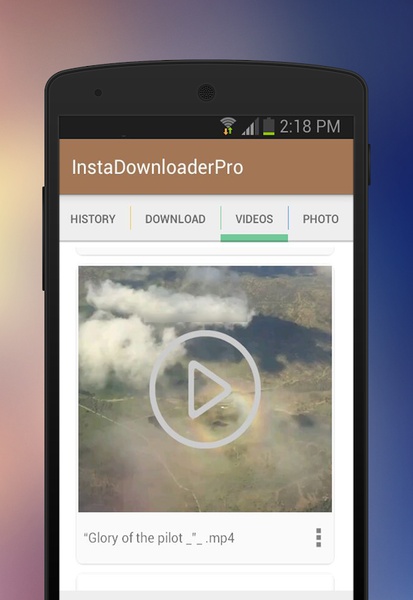InstaDownloader - Preview 3
