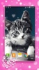 Cute Kittens Live Wallpaper screenshot 7