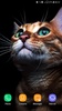 Cute Animals Wallpaper screenshot 2